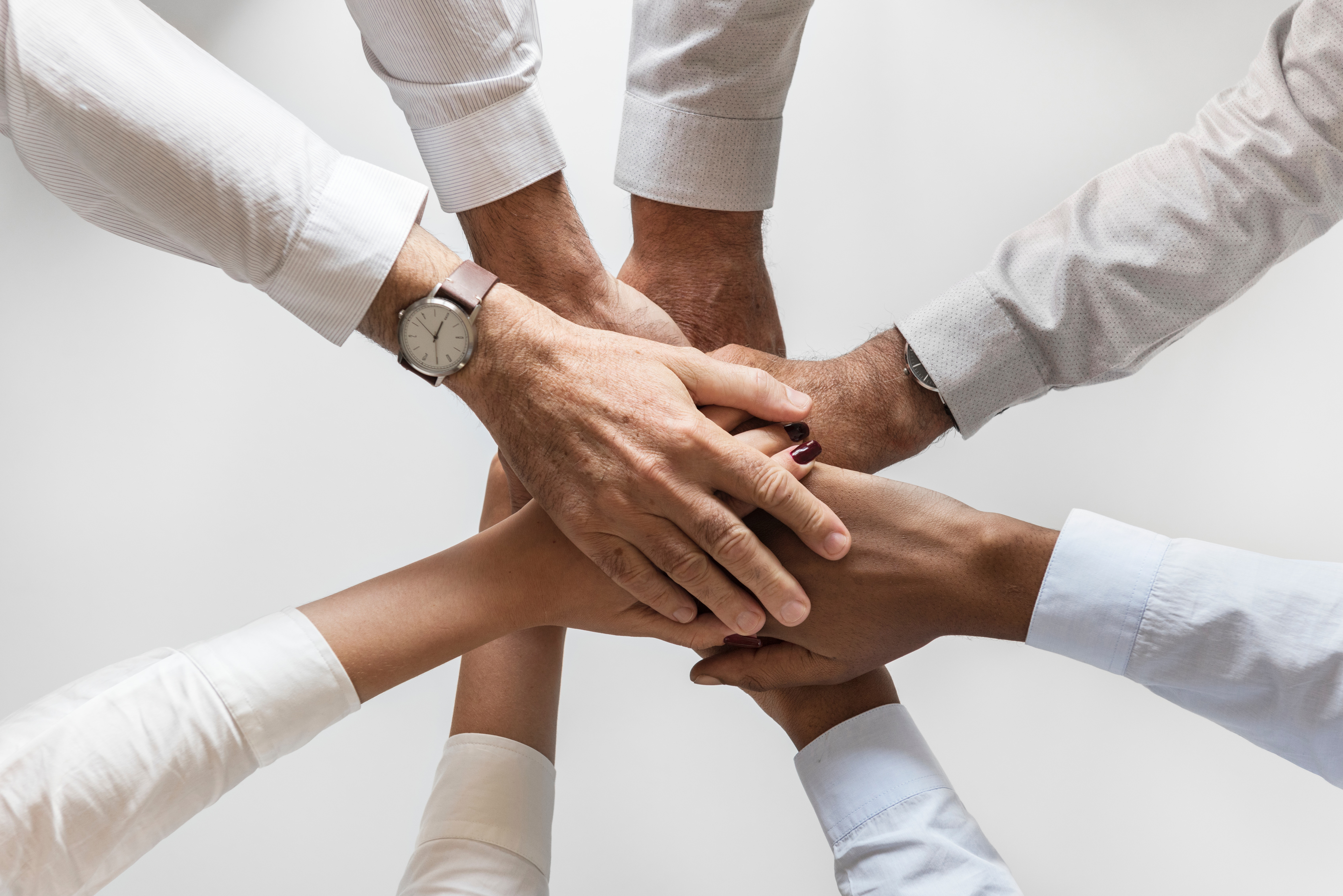 Member of Commitment Committee for crowdfunding platform WiSEED