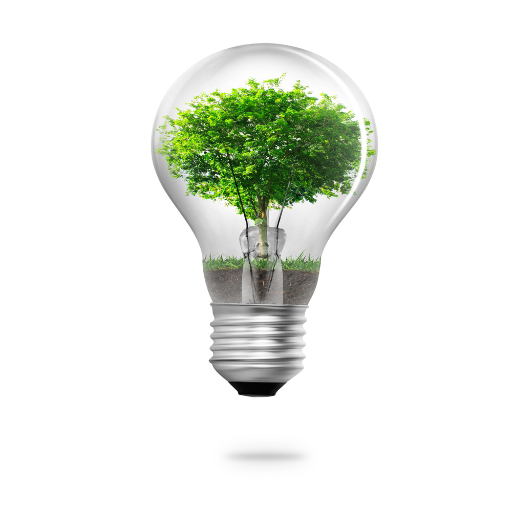 Everoze Partner Jo de Montgros Joining the Dots: What does COP25 mean for you?