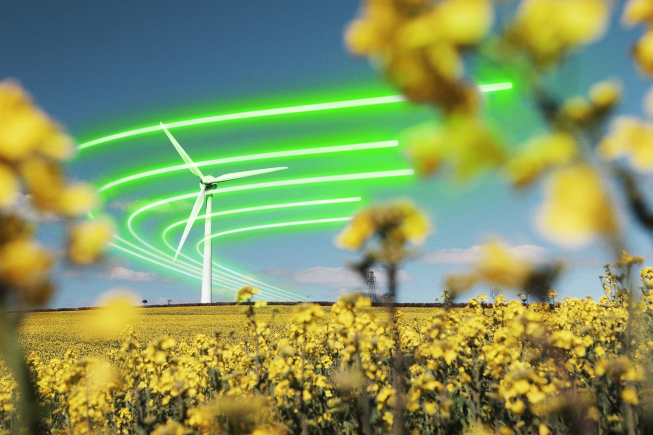 Everoze supports analysis for National Grid ESO and SSEN: using wind power to heat Scottish homes
