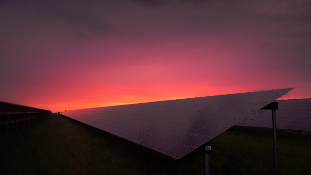 solar farm in sunset