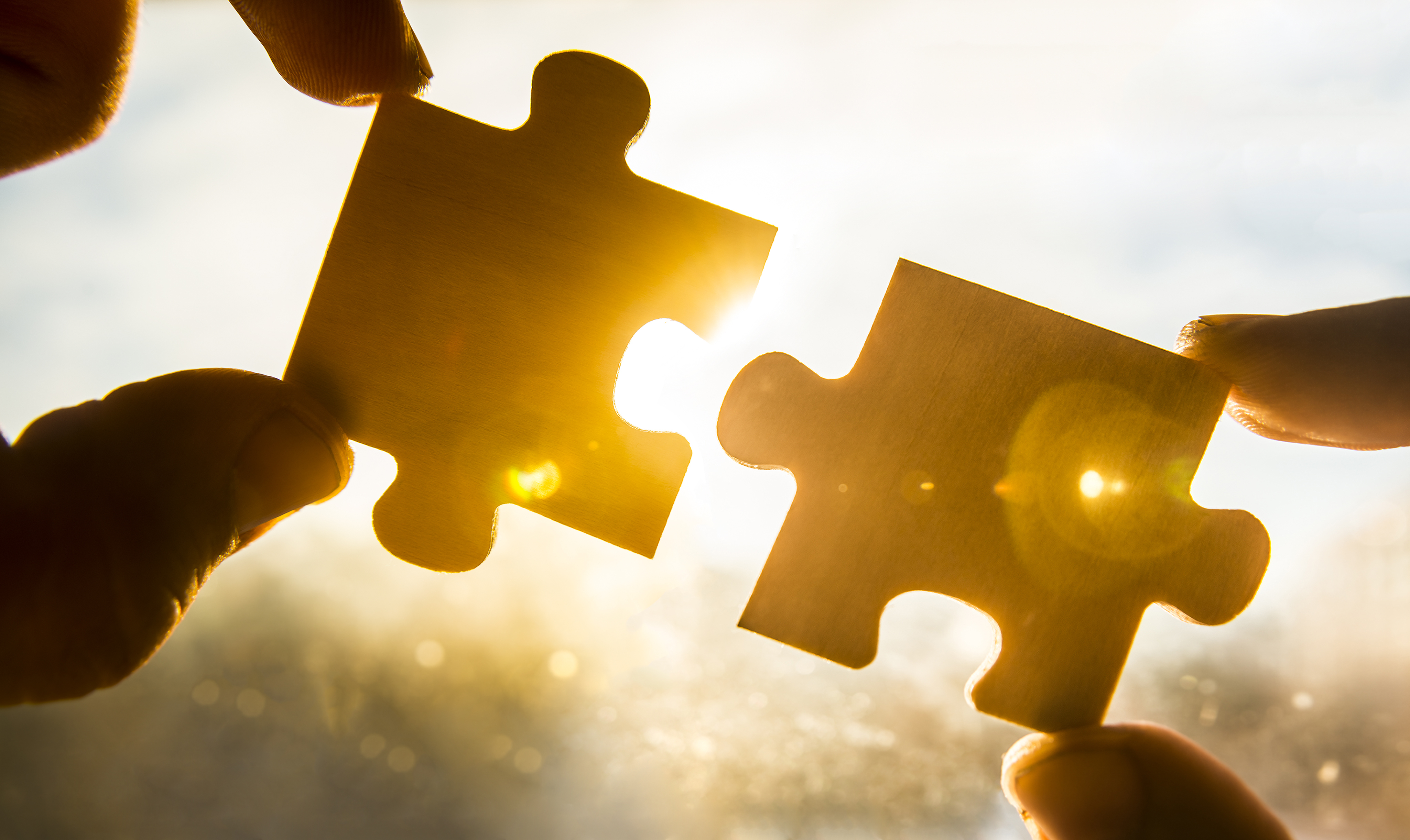 Everoze surveys market landscape for flex community