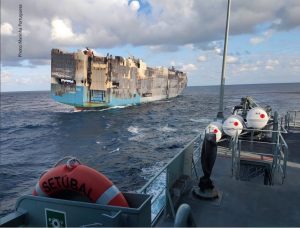 Container Ship Felicity Ace