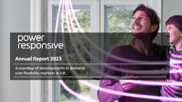 The Power Responsive Annual Report