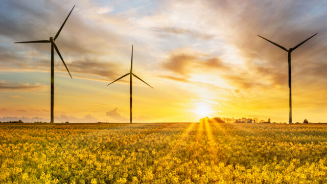 Sun rising over rape fields and three onshore win turbines