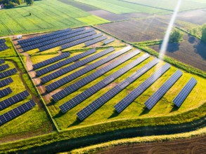Solar PV farm on fields in the spring